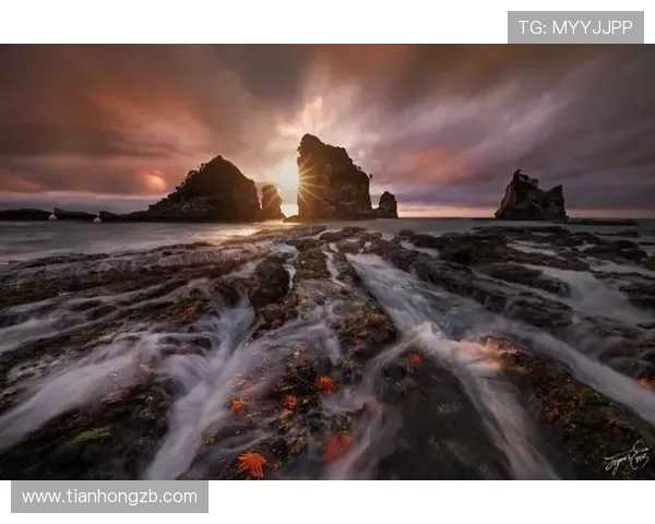 体育明星个人纪录片的叙事策略与视觉感